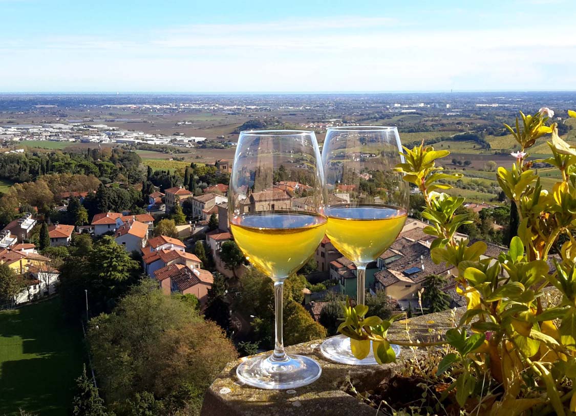 Vino Bertinoro