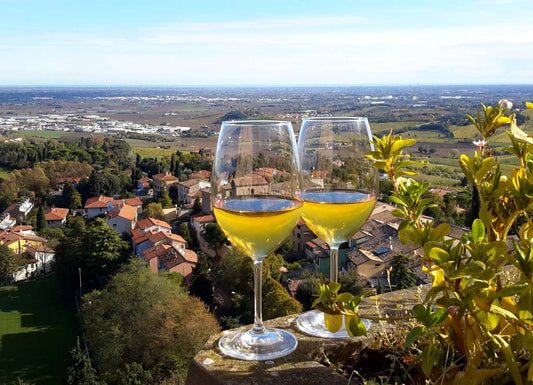 Vino Bertinoro